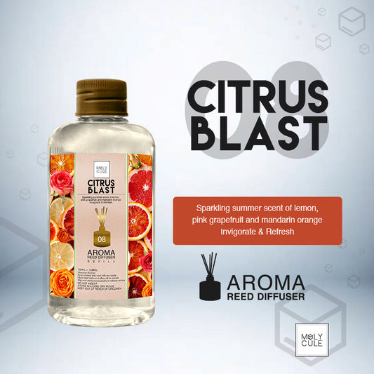 Citrus Blast Reed Diffuser